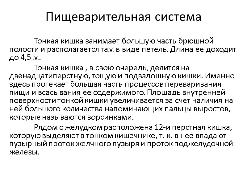Пищеварительная система  Тонкая кишка занимает большую часть брюшной полости и располагается там в